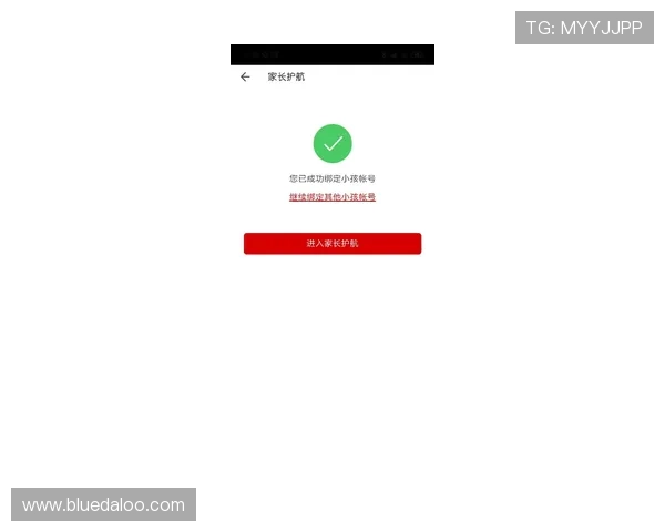 博天堂官网电脑版安全稳定登录指南，保障您的游戏账号安全无忧