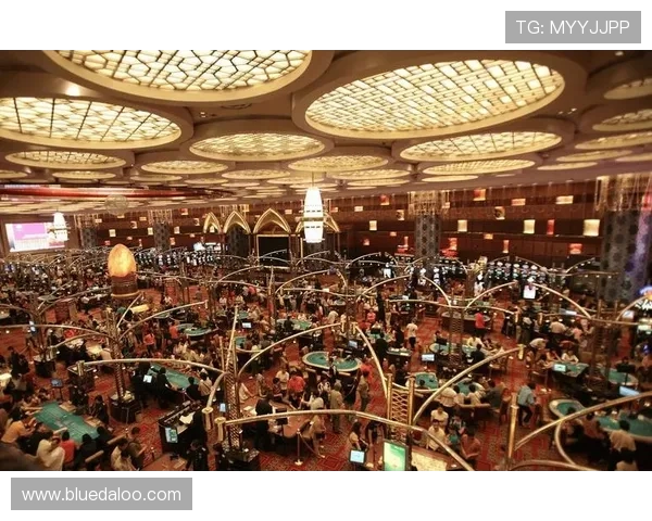 博天堂官网登录入口开启全新线上娱乐体验，打造安全稳定的博彩平台